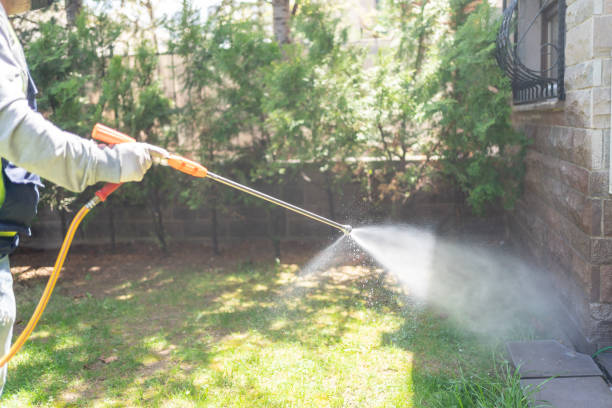 Best Residential Pest Control  in Cadott, WI